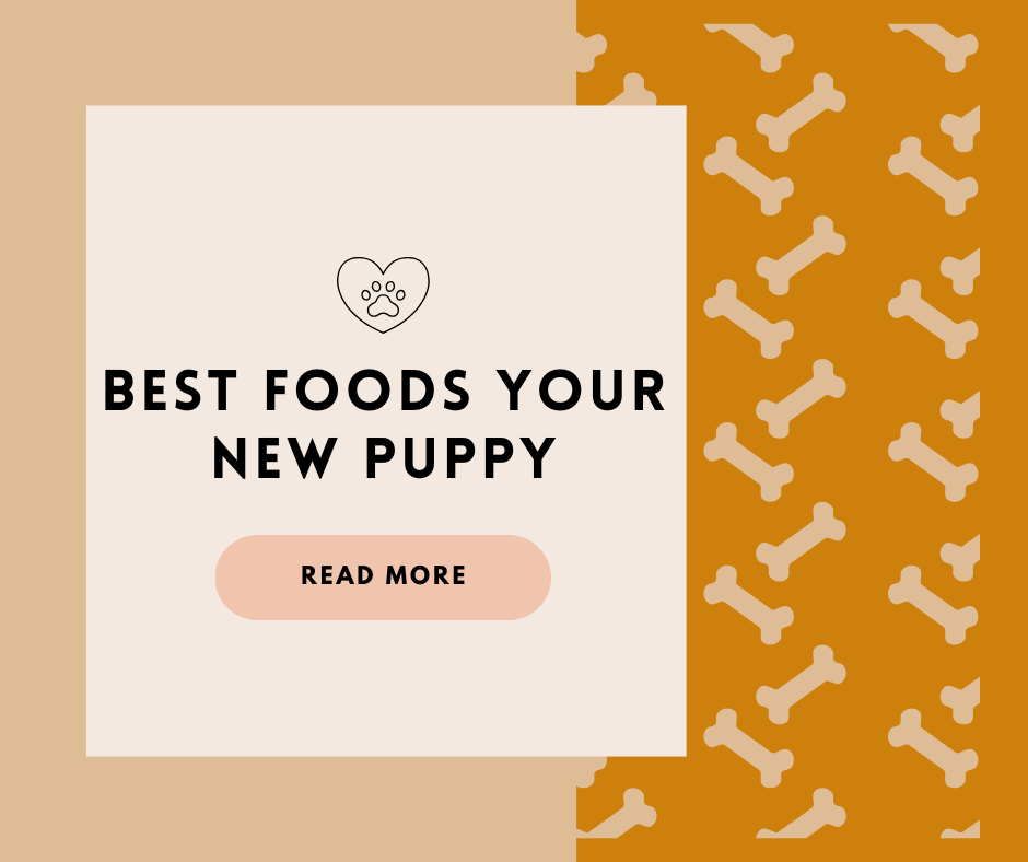 Blue Buffalo Puppy Dog Food Reviews: Is It the Best Dog Food for Puppies?