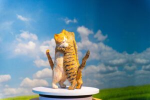 Best cat food in USA