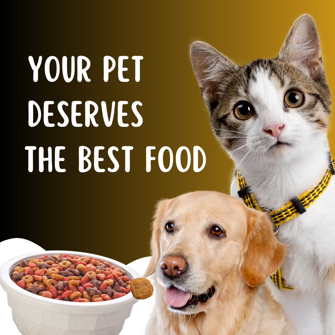 Pink Illustration Pet Food Instagram Post (1) Perfect Pet food