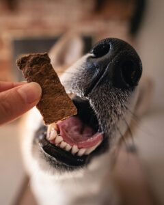 Dog Food Reviews