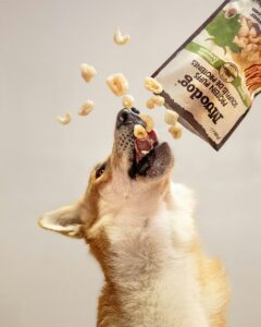 Dog Food Reviews