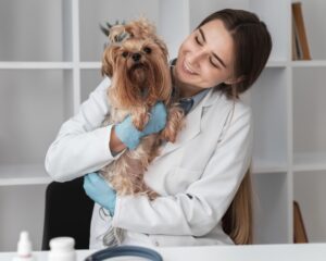 Is 4Health a Good Dog Food?